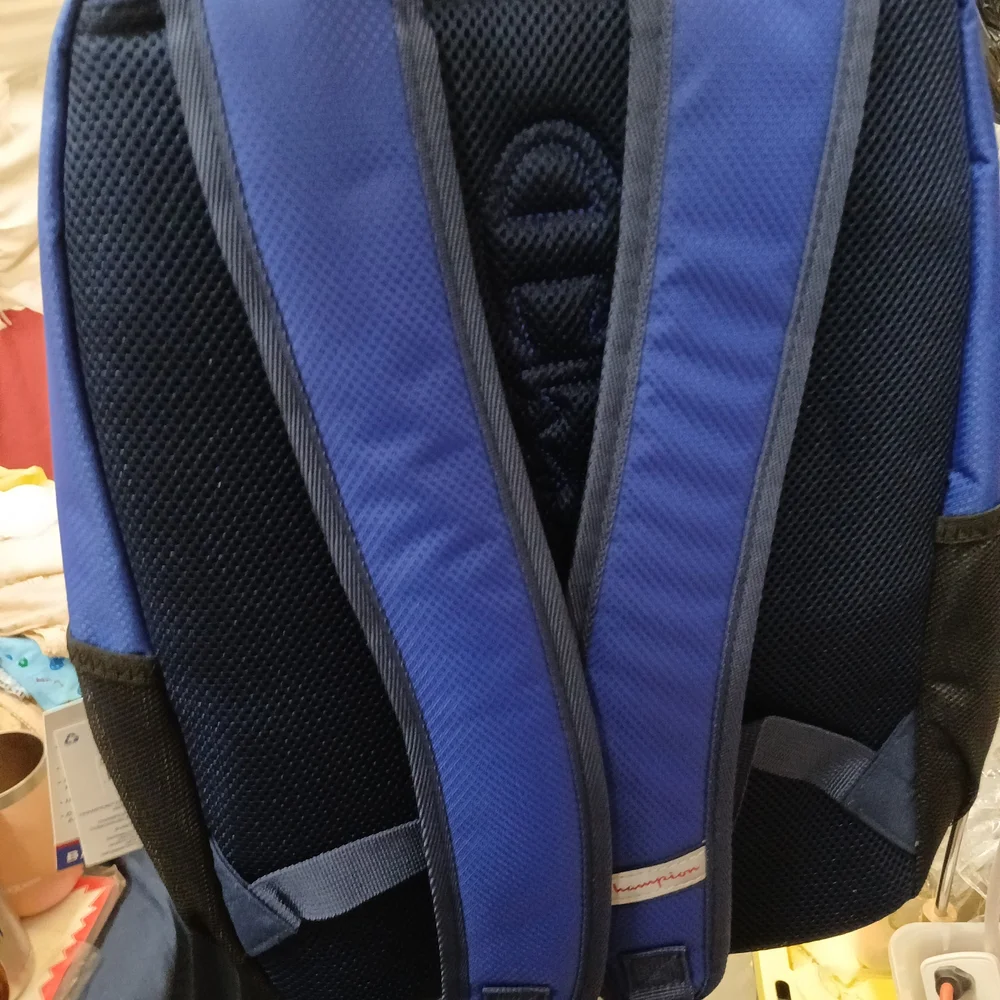 Champion Navy and Blue Backpack
